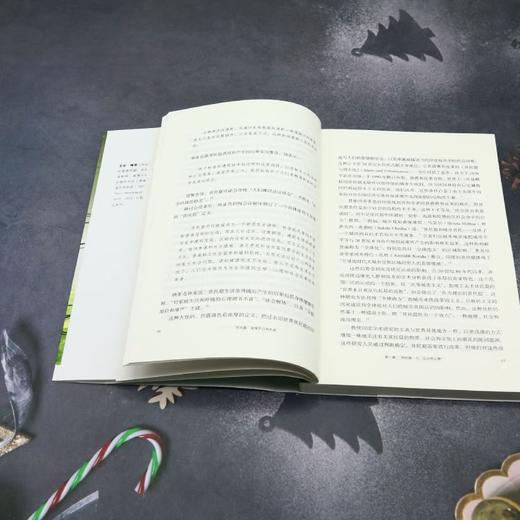 贫民窟:全球不公的历史 ［英］艾伦·梅恩 著 尹宏毅 译 新知文库 三联书店 商品图2