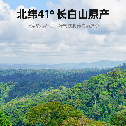 【杞里香五味子150g*1罐】泡水喝 一口吃出5种味道 养护五脏 春季健康好物 商品图2