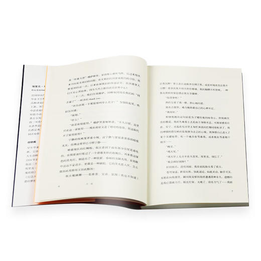 火夜 埃里克 埃玛纽埃尔 施米特 著  徐晓雁 译 三联书店 商品图3