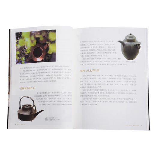 茶壶：有容乃大 中国茶文化 池宗宪 著 三联书店 商品图3