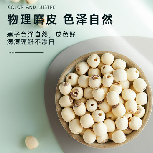 十月稻田 新鲜莲子 干货 250g/袋 商品图3