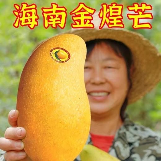 海南金煌芒10斤芒果一级大果新鲜水果现摘青甜心黄皮水仙芒整箱 商品图0