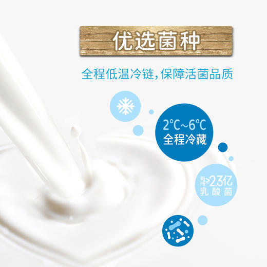 年套餐「银川本地日配服务」夏进益生菌风味发酵乳230ml/瓶 其他地区下单请联系客服 商品图2