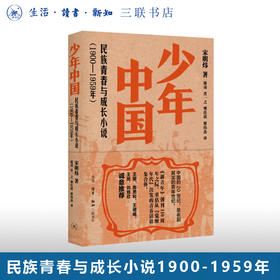 少年中国 民族青春与成长小说1900—1959年