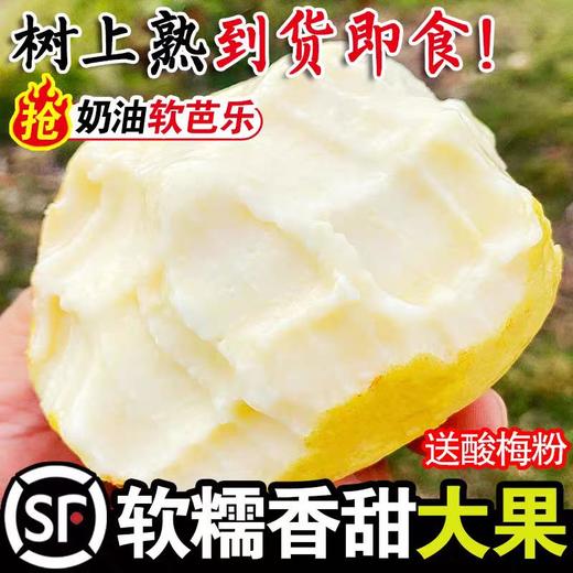 【软心奶油芭乐】广东红心白心芭乐果番石榴 当季水果5斤顺丰包邮 商品图3