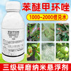 升级版水乳苯醚甲环唑杀菌剂苹果树防治斑点落叶病专用杀菌剂正品 商品缩略图2