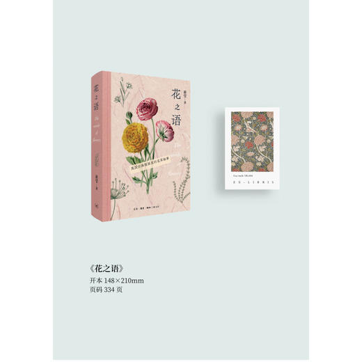 花之语：英国古典版画里的花草秘事  花卉 文化史 欧洲 商品图3