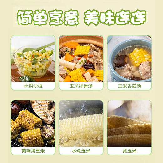 产地直发！新疆白糯玉米黄金玉米段【 天然雪水滋养 天然纯净  自然生产 香甜软糯会拉丝   人工采摘 真空包装  颗粒饱满 】 商品图3