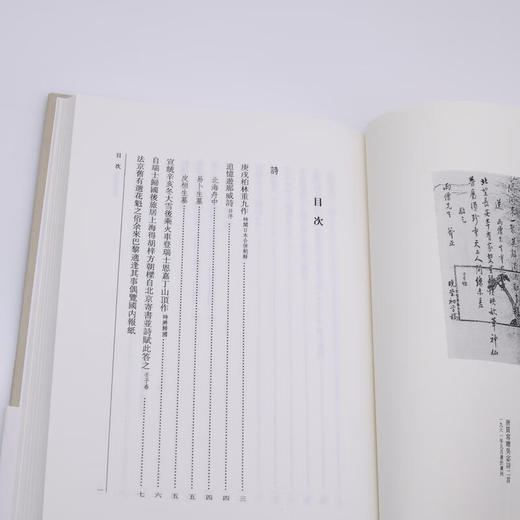 詩集 附唐篔詩存 精装 陈寅恪集 古籍文学文集 三联书店 商品图2