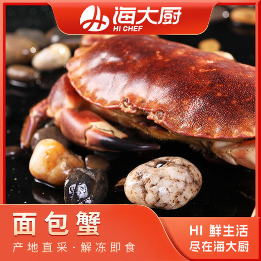 海大厨-面包蟹 商品图0