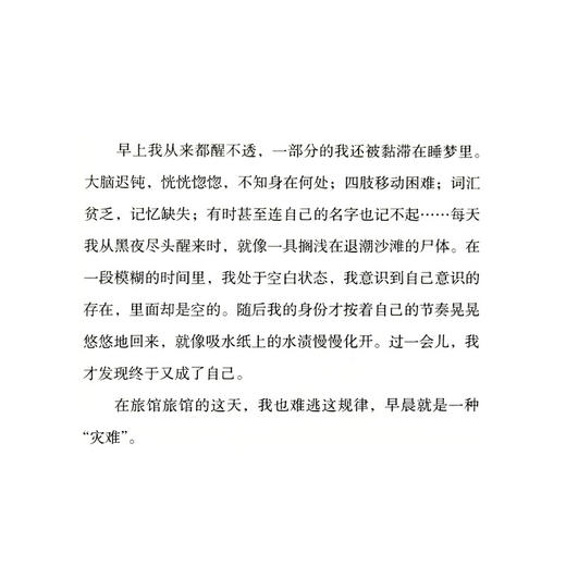 火夜 埃里克 埃玛纽埃尔 施米特 著  徐晓雁 译 三联书店 商品图4