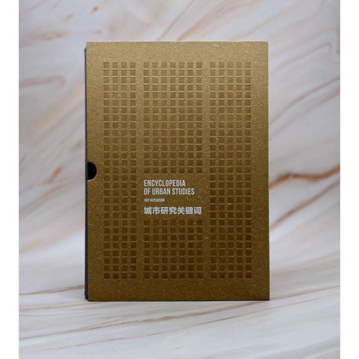 城市研究关键词  [美] 雷·哈奇森主编 著 三联书店 商品图1