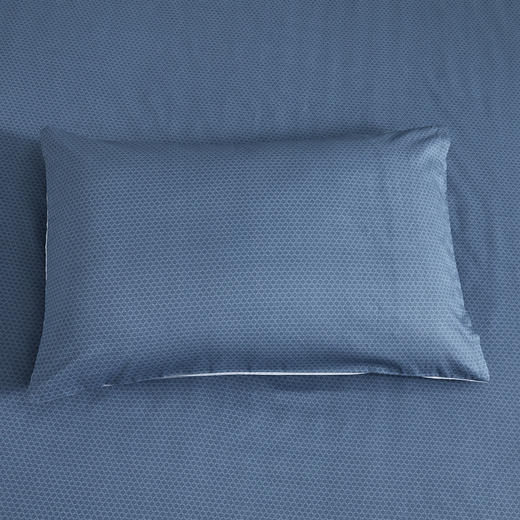 罗莱诺曼全棉四件套【分仓直发，72小时发货，周末节假日不发货】 商品图8