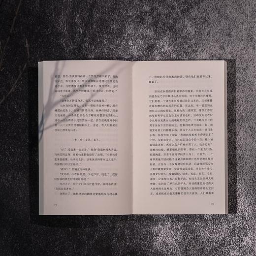 拉纳克：四卷书里的一生 商品图7