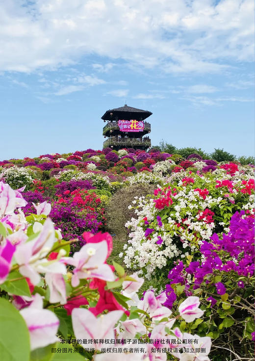 【绿城物业专属（天庆项目）】【惠州假日】 千花洲+惠州西湖纯玩一日游 商品图1