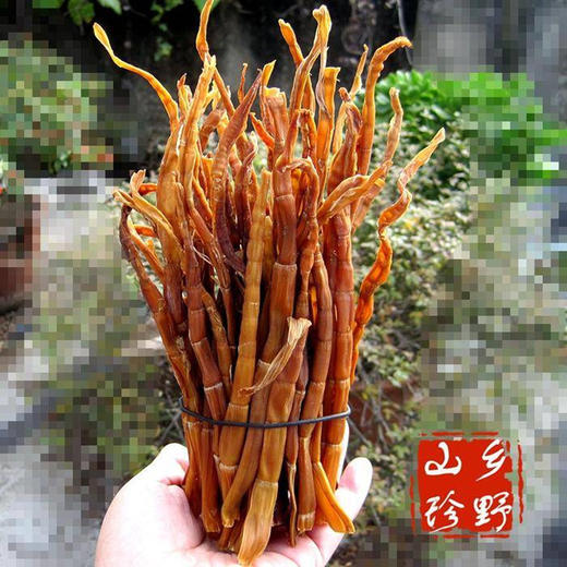 湖北襄阳保康县山水韵笋尖500g/袋 商品图2