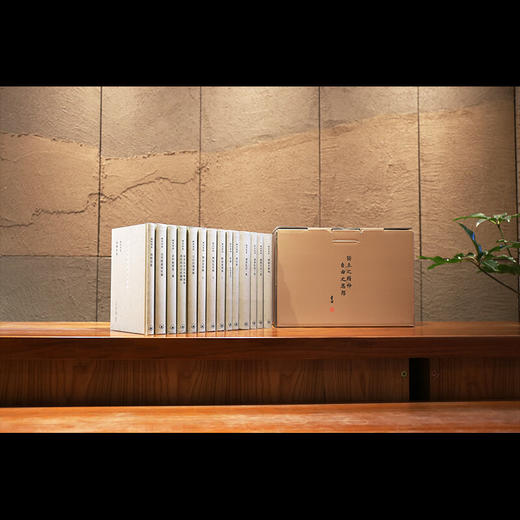 陈寅恪集 全套14册 三联书店 商品图2