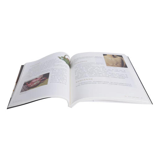 茶壶：有容乃大 中国茶文化 池宗宪 著 三联书店 商品图1