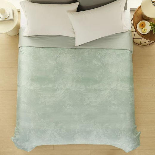 山姆新品‼️‼️Member’sMark桑蚕长丝夏被

200cm*230cm适用于1.5M床，1.8也能用

AB面一面灰色 一面绿色 山姆夏被礼盒包装

原价339 商品图7