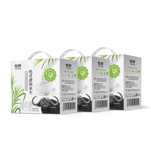 贵州省惠水县悦黔吃甘蔗的水牛纯牛奶200ml*10盒/提 商品图1