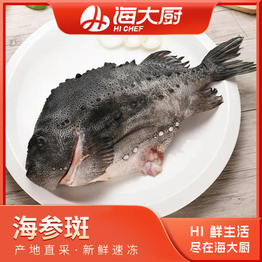 海大厨-海参斑 商品图0