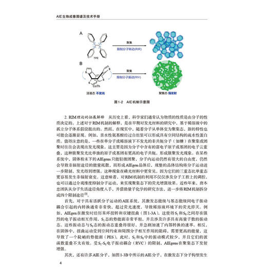 AIE生物成像图谱及技术手册 唐本忠 胡蓉编 涵盖生物大分子 细胞器 细胞及活体 收录超过500幅技术原理及高清显微图像 科学出版社 商品图4