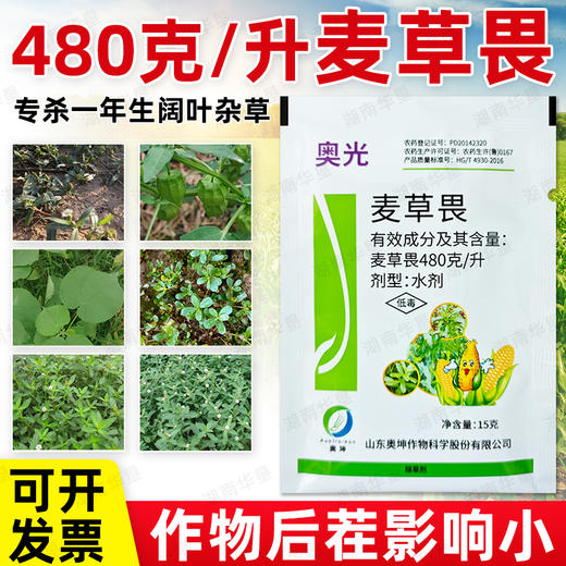 奥光48%麦草畏玉米田除阔叶杂草圆叶杂草专用除草剂农药正品农用 商品图2