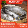 2025渤海湾1号刀鱼礼盒1.7kg 商品缩略图0