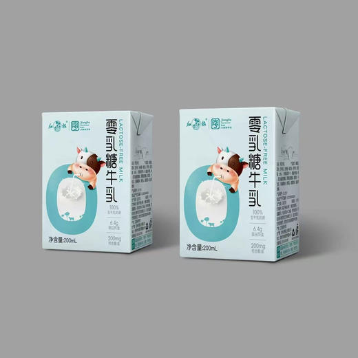 红梅零乳糖牛乳200ml*12 商品图2