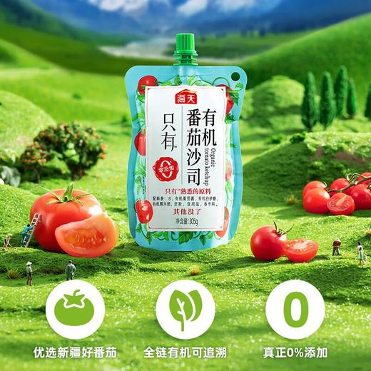 海天有机番茄沙司 305g/袋 商品图2