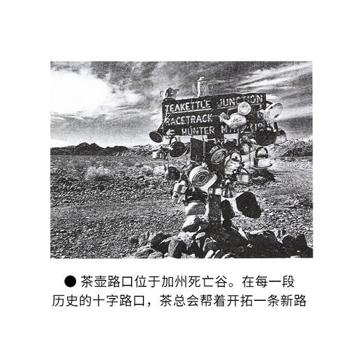 茶的真实历史 郝也麟 著 高文海 译 徐文堪校译 新知文库 三联书店 商品图5