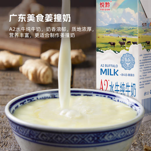 贵州省惠水县悦黔A2水牛纯牛奶200ml*10盒/提 商品图5