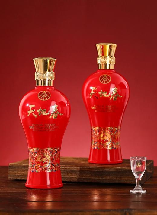 【自营】五粮液天地春 地利红运 52度浓香型白酒 500ml*6瓶 商品图1