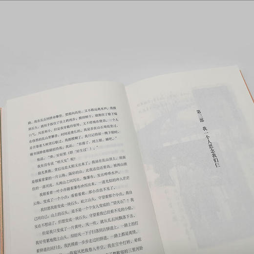 我们仨:二十周年纪念版 杨绛 著 杨绛先生与钱钟书及其爱女的坚守与爱展现女性智慧和情感的家庭回忆录 散文随笔 三联书店 商品图4