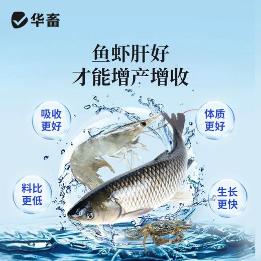 【社群专享】华畜胆汁酸肝胆综合肝胆康鱼虾蟹保肝护胆水产养殖促进生长抗应激 商品图3