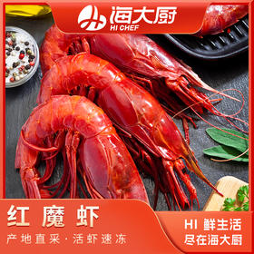 红魔虾500g（3-4）