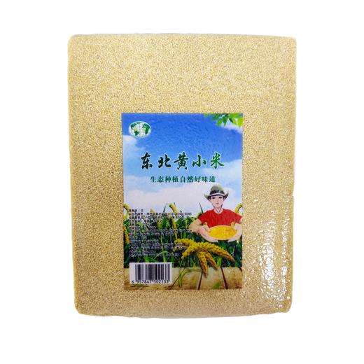 金樱桃 中国产 黄小米 2.5kg/袋 商品图0