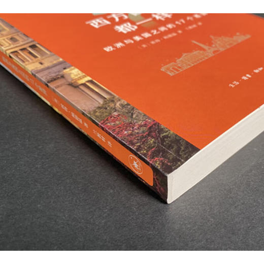 西方国家都一样 欧洲与美国之间的17个差异 彼得·鲍德温 著 世界史 三联书店 商品图4