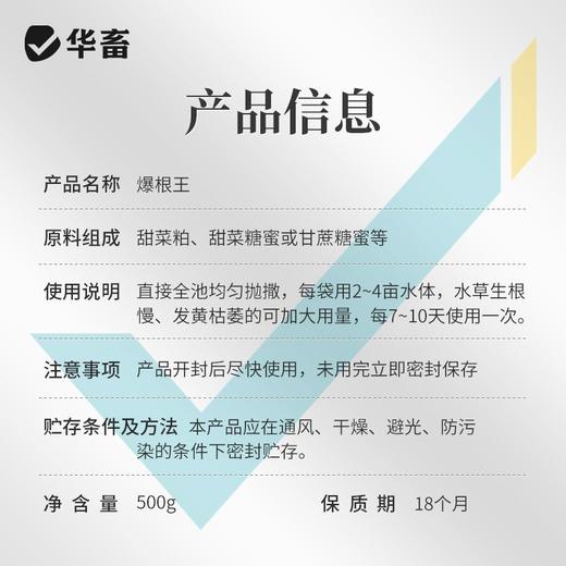 华畜爆根王壮根肥水草生根保草促长改底改善水质长根宝水草生根粉 商品图4