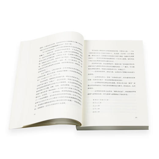 日本笔记 尼古拉·布维耶 著 治棋 译 散文随笔 三联书店译 商品图4