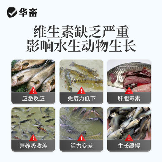 华畜黄金水产多维水产养殖鱼虾蟹蛙用生长缓慢诱食促长电解多维 商品图1