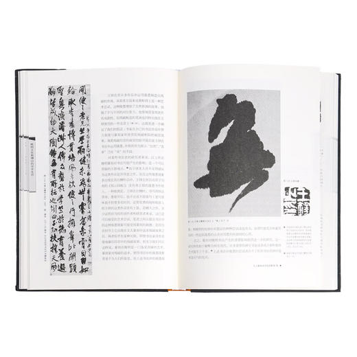 傅山的世界 十七世纪中国书法的嬗变 白谦慎 著 生活艺术 开放的艺术史 三联书店 商品图1