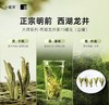 小罐茶大师系列龙井茶2025年明前特级龙井茶金罐15罐茶叶礼盒60g 商品缩略图2