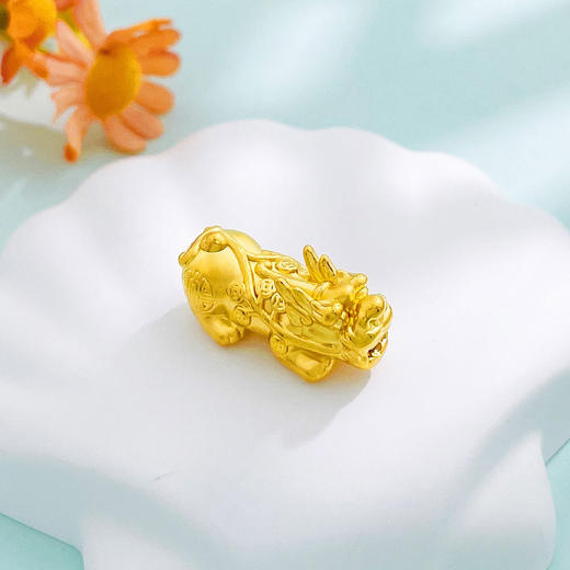 【限时克减150元】足金 3D硬金空心财源广进铜钱图案貔貅手串配件Diy手串配件（面宽约23.4*11.2mm）(AU3DSC00035-3)（预售产品下单后不退款不退货不换货不补差价） 商品图0