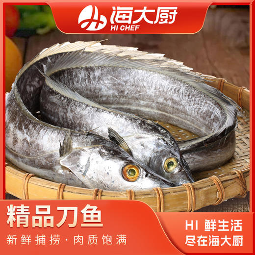 海大厨-精品刀鱼750g（201.0941） 商品图0
