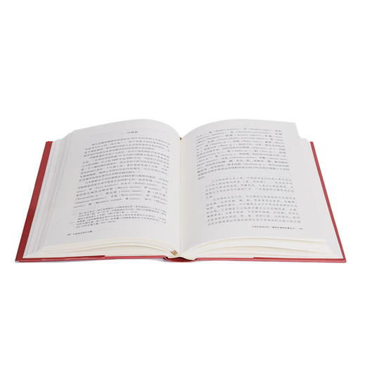 中国考古学论文集 张光直作品系列 中国相互作用圈与文明的形成古代巫觋文化的特点 三联书店 商品图1