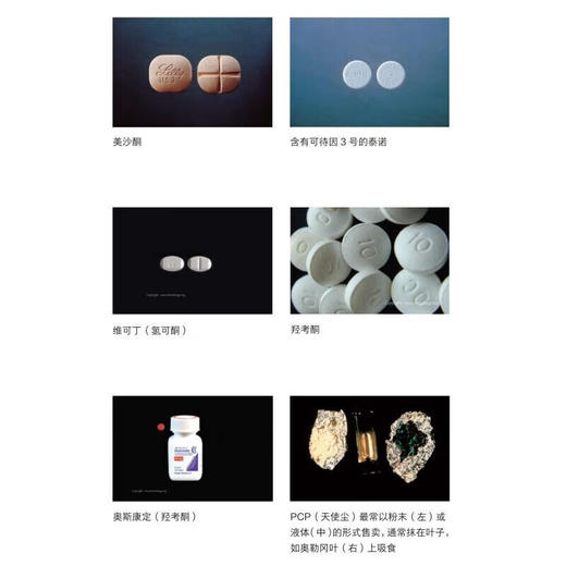 致命药瘾:让人沉迷的食品和药物 新知文库精选 关于上瘾食物和药物的权威百科 传达正确的用药知识 三联书店旗舰店 商品图4