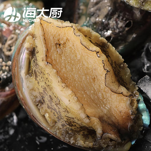海大厨-甄选大连鲍鱼6头385g（201.0949） 商品图1