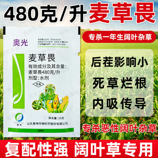 奥光48%麦草畏玉米田除阔叶杂草圆叶杂草专用除草剂农药正品农用 商品图3
