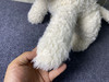 外贸正品 JELLYCAT 狗系列 门罗苏格兰梗 西高地狗狗 玩偶 毛绒公仔 23cm高 商品缩略图4